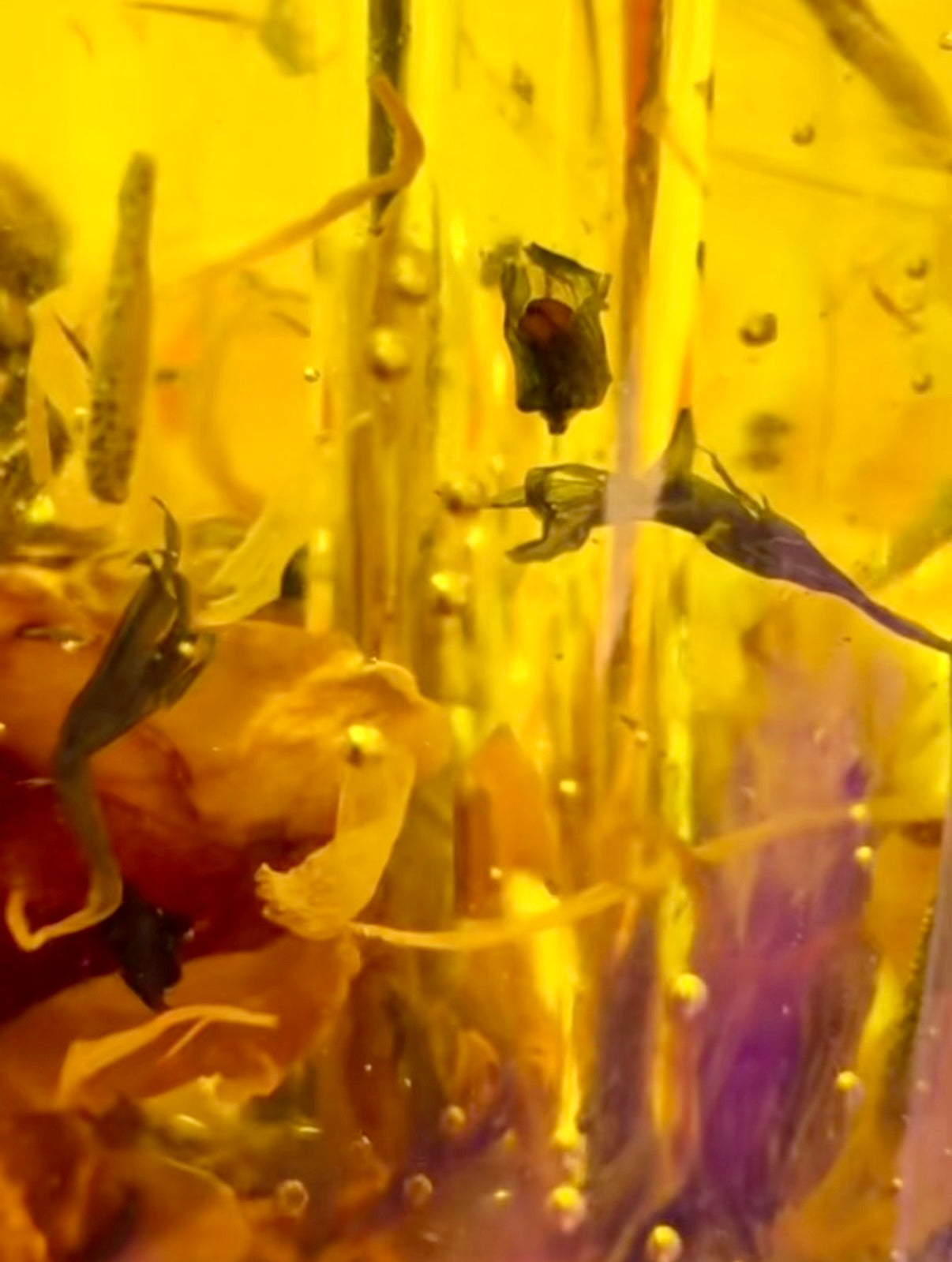 YONI SECRET OIL de chez  INTIMEA